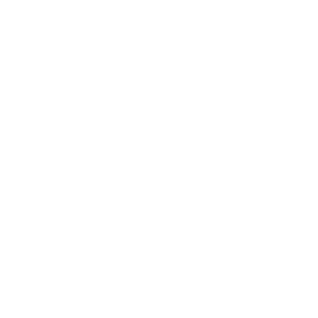 Seguros - ITURAN